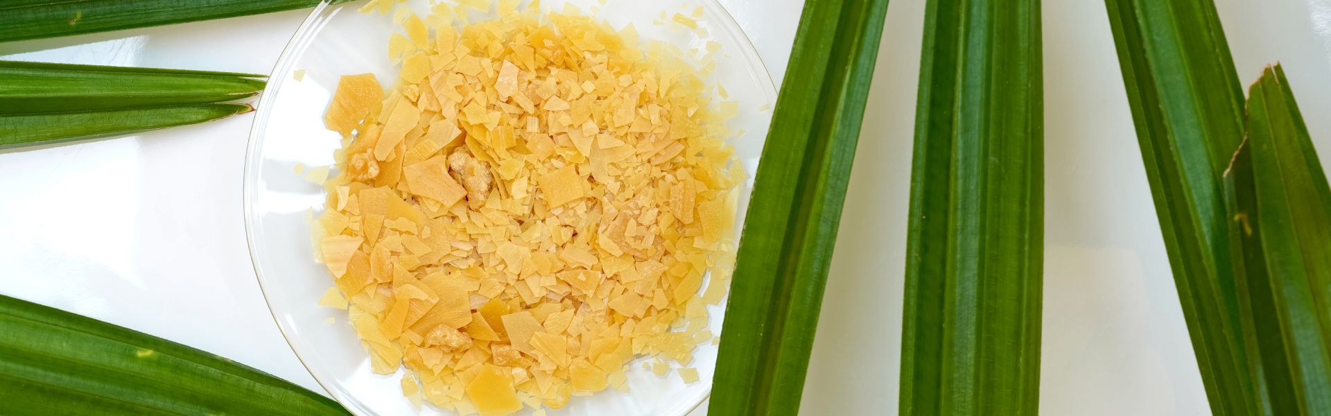Natural Waxes in Manufacturing: Sustainable & High-Performance Solutions